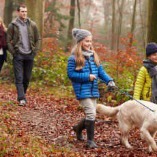 winter pet friendly