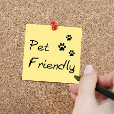 booking pet friendly accommodation