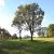 Sydenham Green