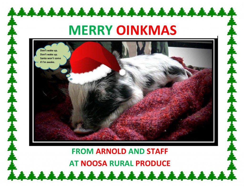 XMAS ARNOLD jpeg