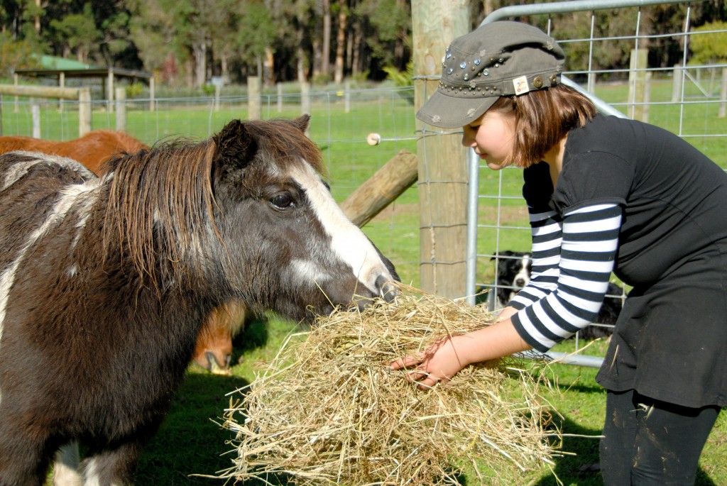 We are a farm stay with plenty of animals for the kids to pet.