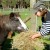 We are a farm stay with plenty of animals for the kids to pet.