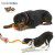 Boredom Busters West Paw Design