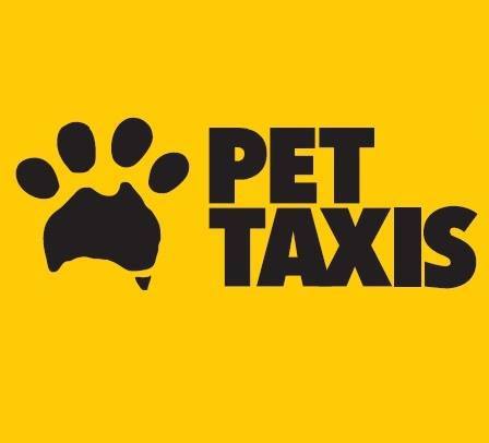 pet taxi