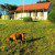 Barella Cabins
