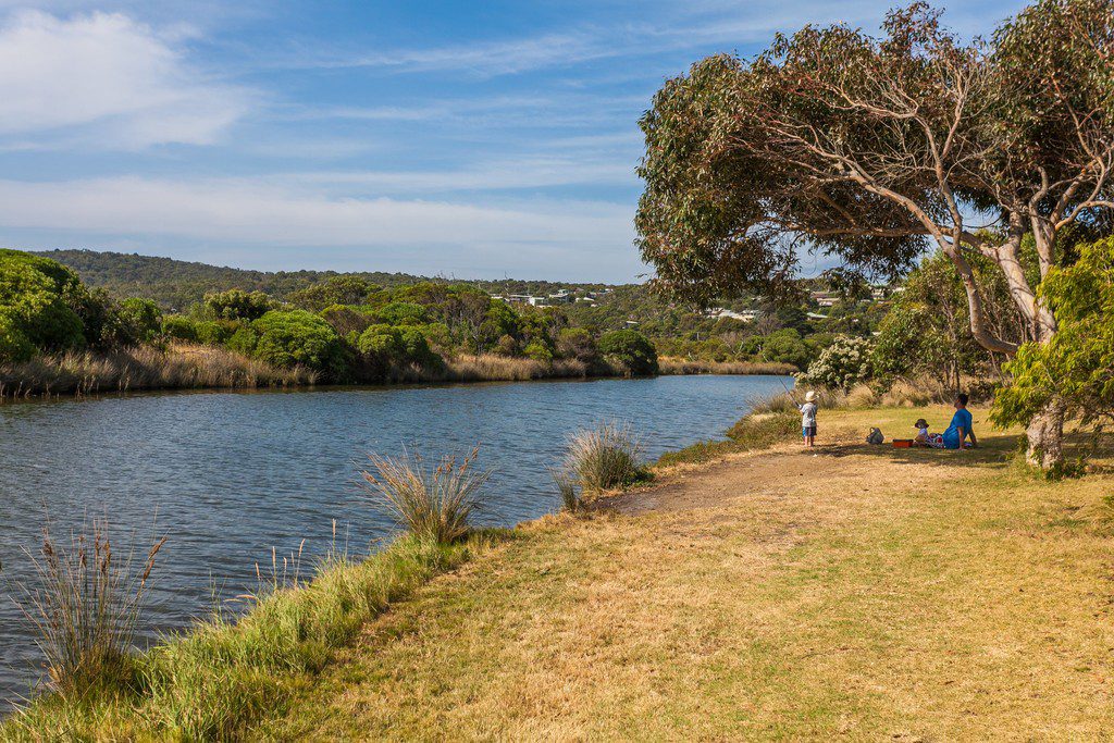 The river off leash area directly opposite