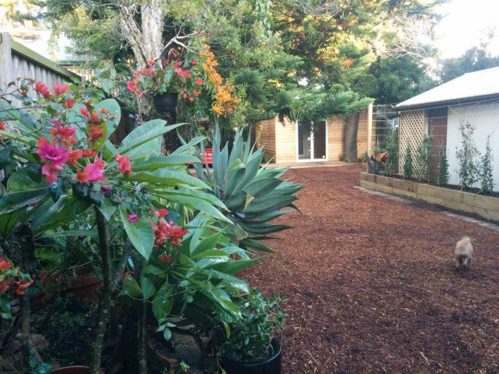 garden
