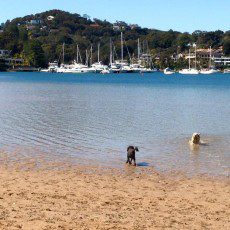 Rowland Reserve - Bayview