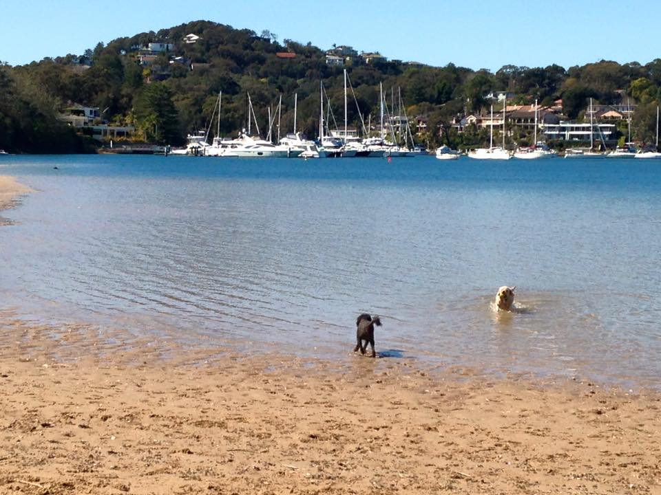 Rowland Reserve - Bayview