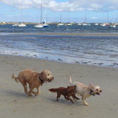 St-Kilda Beach