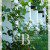 Brentwood Accommodation Healesville