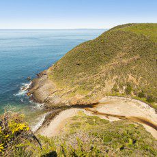 Fleurieu Peninsula pet friendly