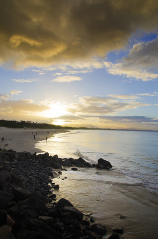 belongil-dog-friendly-beach