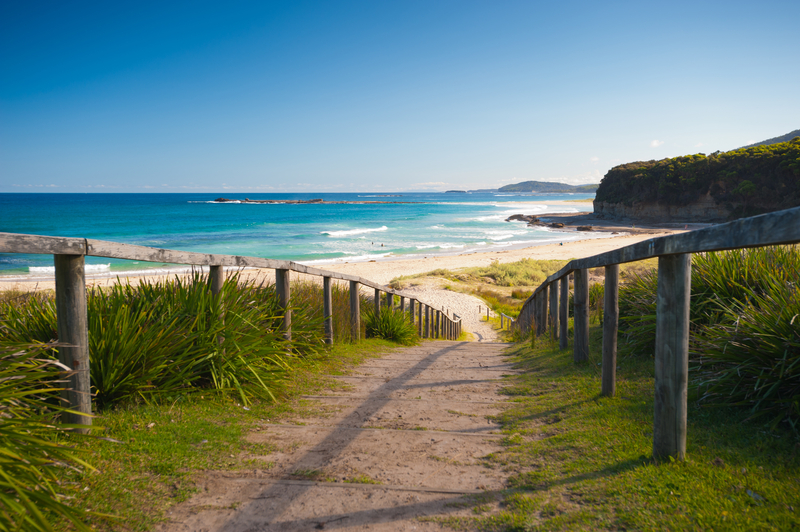 Dog Friendly Camping Nsw Beach Dog Friendly Camping Nsw Beach