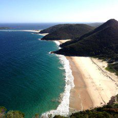 port stephens pet friendly