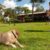 Bilpin Country Lodge