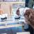 Dog House