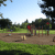 Heathwood Park