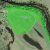 Old Bega Racecourse