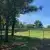 Burley Griffin Community Gardens