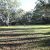 Birrung Park