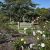 Pioneers Memorial Park