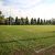 Blackmore Oval