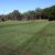 Leichhardt Oval Number 2