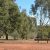 The People’s Park Gulgong