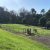 Fenced Dog Park Goonellabah