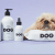 Dog by Dr Lisa