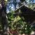 Byron Bay Rainforest Resort