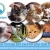Pet Nurture
