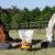 Pet Horse & Farm
