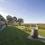 Avon Ridge Vineyard
