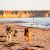 Maslin Dog Beach