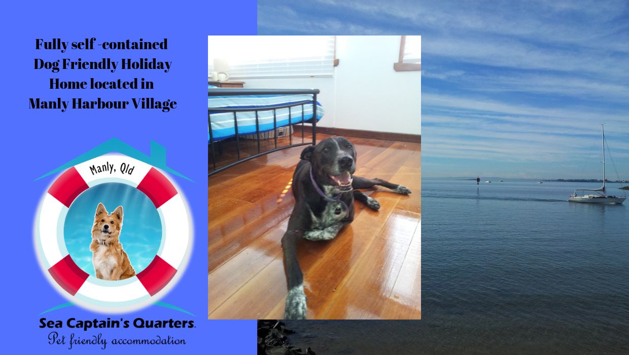 Sea Captain' s Quarters Take Your Pet