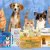 PetSupplies