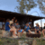 Lappi Farm – Snowy Mountains Log Cabin Farmstay