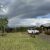Barakee Homestead – Pet-Friendly Country Escape