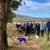 Canberra Dog Walks