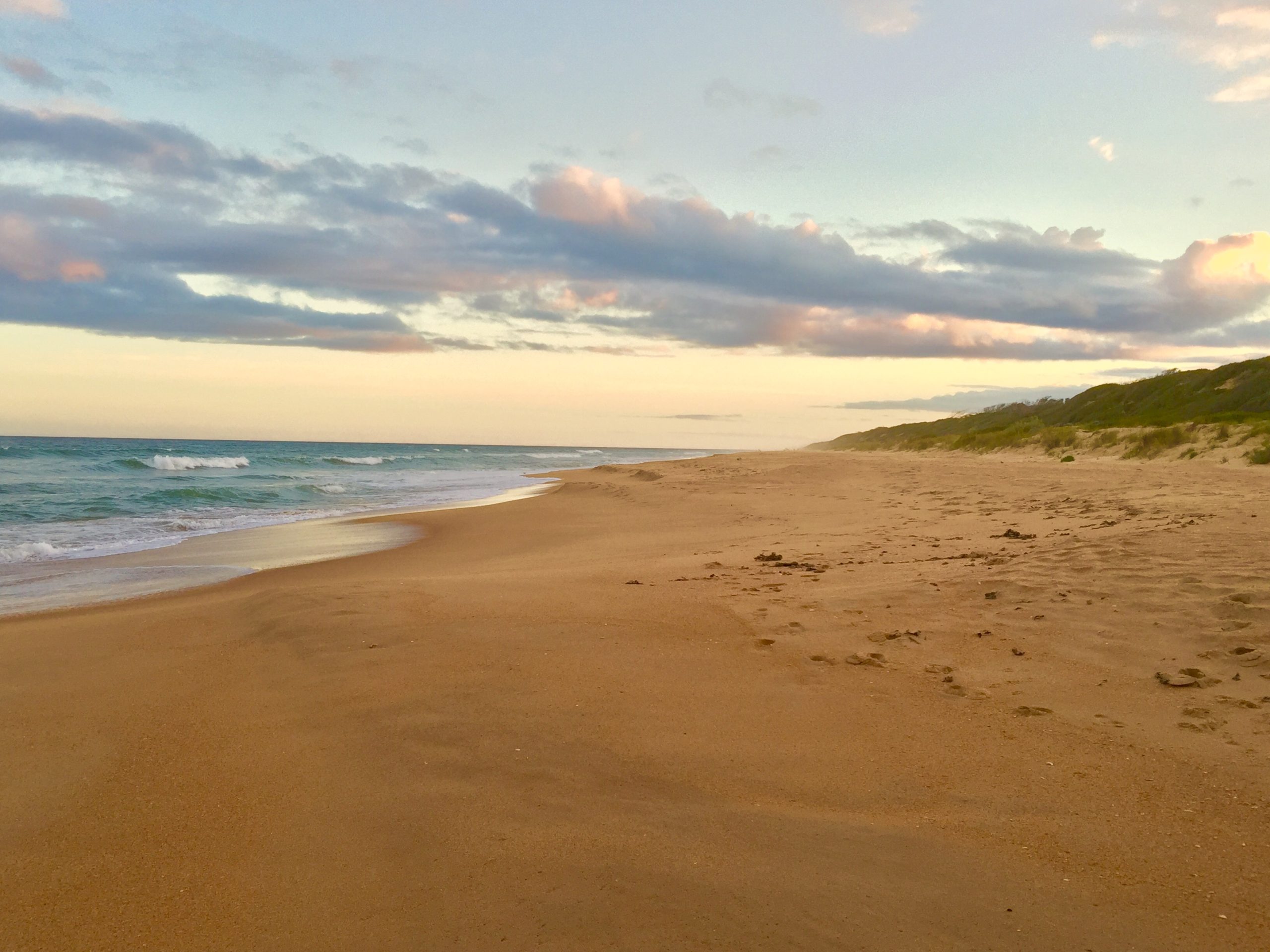 Golden Beach Cabins (Vic) Take Your Pet