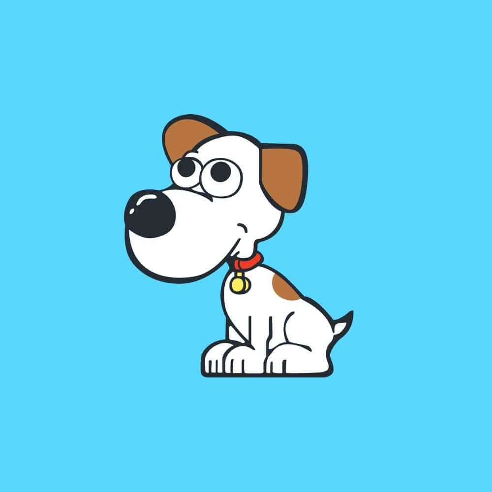 Aussie Pet Doors Take Your Pet